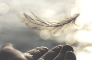 meeting between a delicate feather of a woman's hand