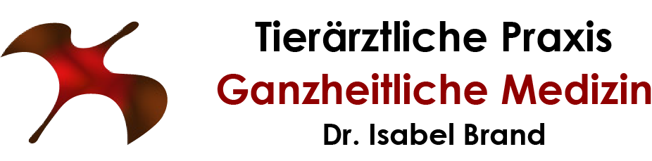 Ganzheitliche-tiermedizin